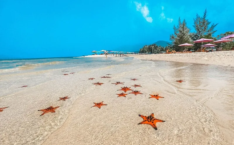 Những con sao biển cam nằm rải rác trên bãi cát ven bờ Bãi Sao ở Phú Quốc dưới bầu trời xanh trong.