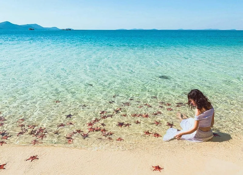 Một phụ nữ ngồi bên làn nước trong xanh có nhiều sao biển trên bãi biển Phú Quốc.